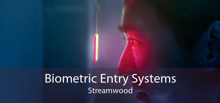 Biometric Entry Systems Streamwood