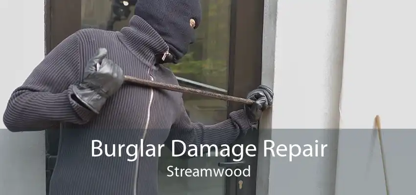 Burglar Damage Repair Streamwood