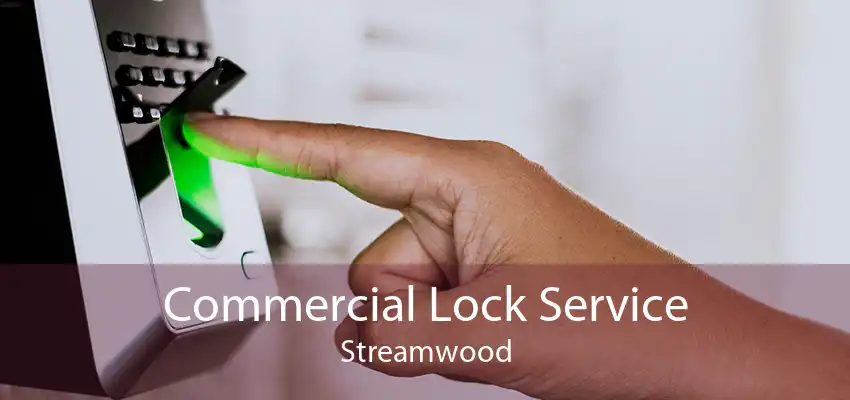 Commercial Lock Service Streamwood