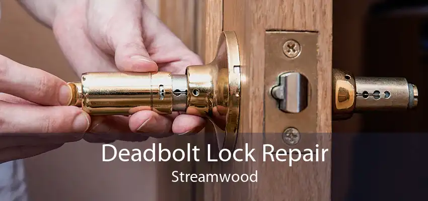 Deadbolt Lock Repair Streamwood