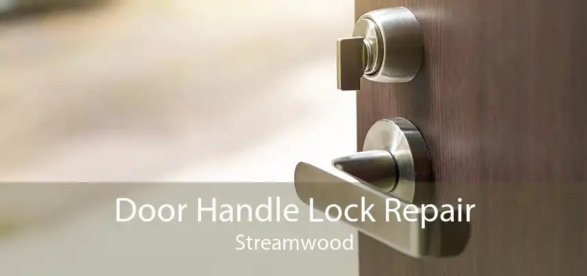 Door Handle Lock Repair Streamwood