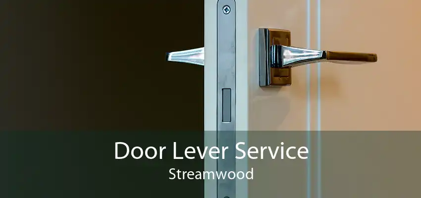 Door Lever Service Streamwood