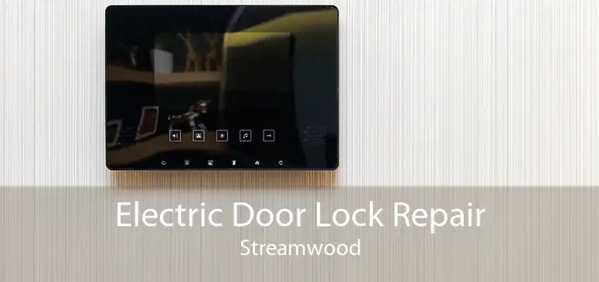 Electric Door Lock Repair Streamwood