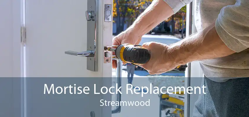 Mortise Lock Replacement Streamwood