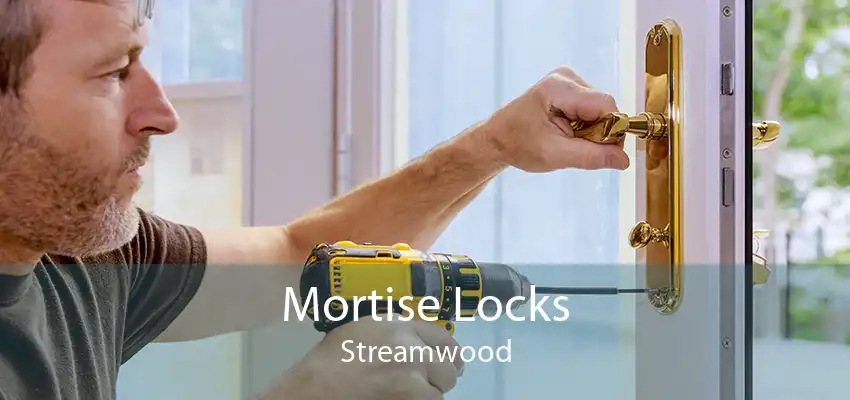 Mortise Locks Streamwood