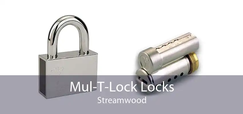 Mul-T-Lock Locks Streamwood