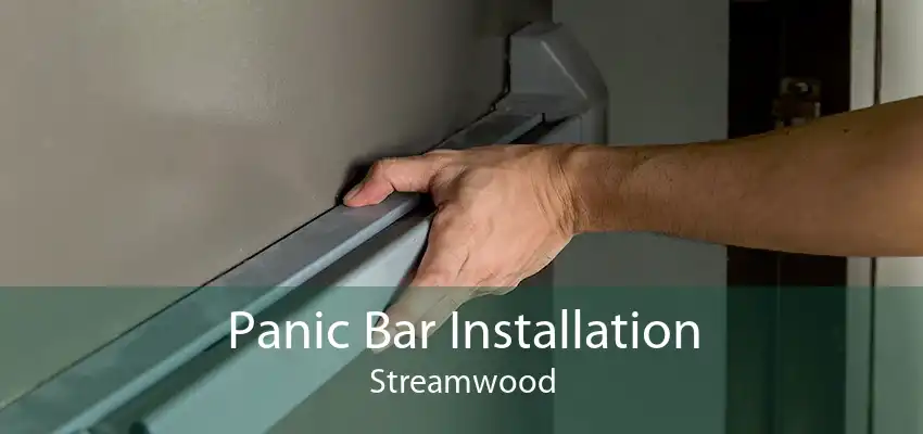 Panic Bar Installation Streamwood