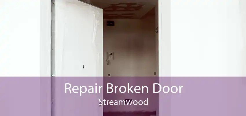 Repair Broken Door Streamwood