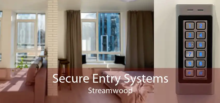 Secure Entry Systems Streamwood