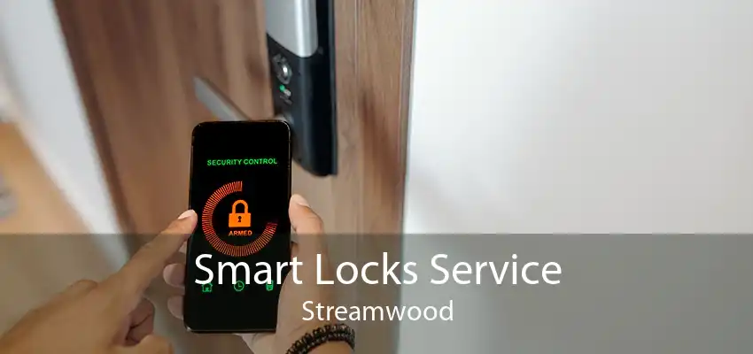 Smart Locks Service Streamwood