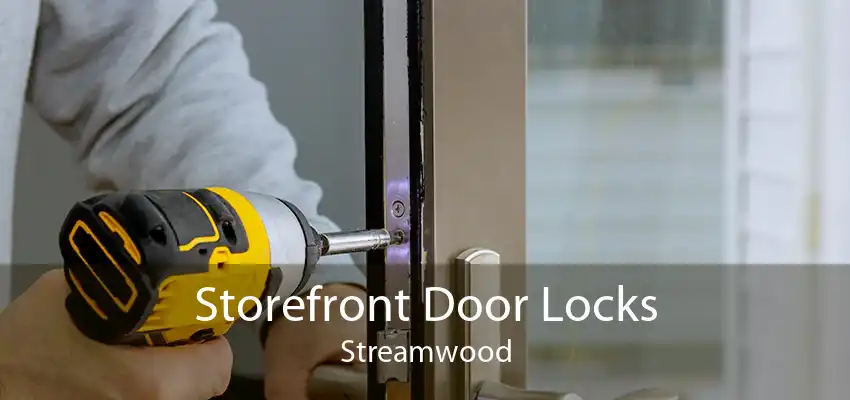 Storefront Door Locks Streamwood